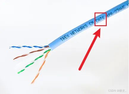 网络生命的脉络 网线的分类与作用解析